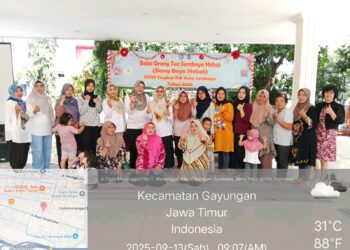 Sekolah Orang Tua Hebat ( SOTH )
